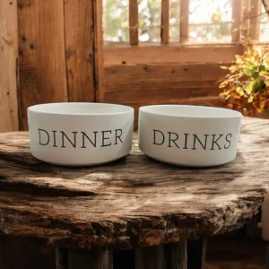 Dinner and Drinks Dog Bowls