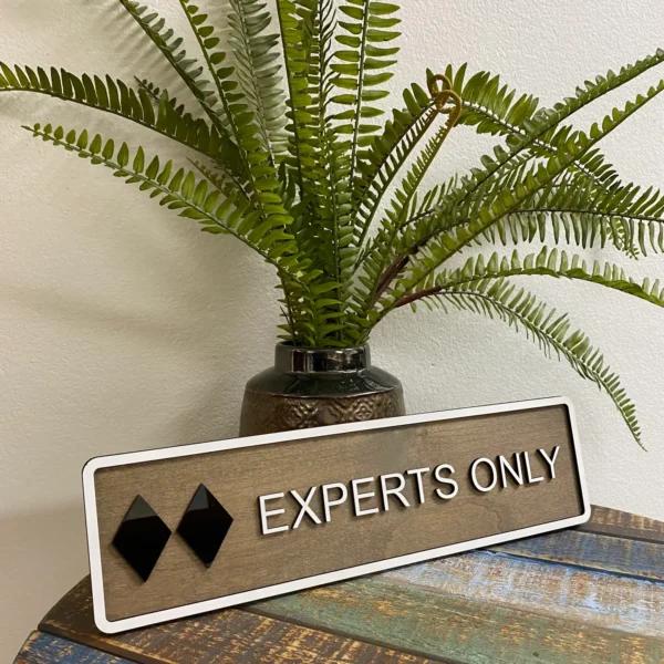 Experts Only Desk Decor. Ski Trail Signs. Skier Gifts.